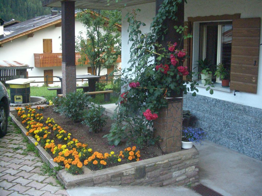 Appartement Mountain Chalet Cime d'Auta Dolomiti à Falcade Extérieur photo